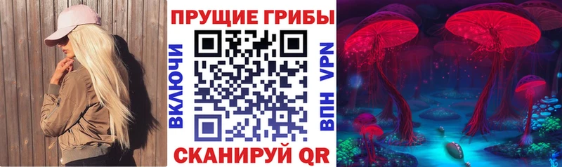 Галлюциногенные грибы Psilocybe  Купить  Аткарск 
